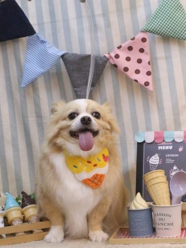 20250523マロ太くん